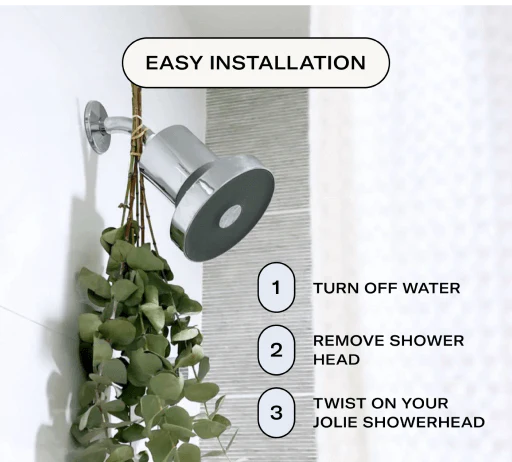 THE FILTERED SHOWERHEAD